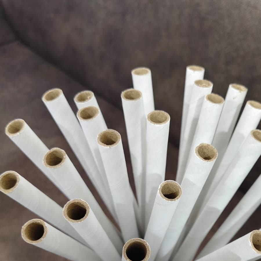Selfie Stick Pencil Crackers Tube